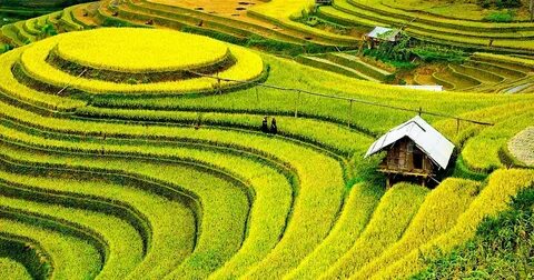 Cách Khởi Nghiệp Kiếm Tiền Bán Thời Gian Dành Cho Người Mới_video đánh giá sản phẩm